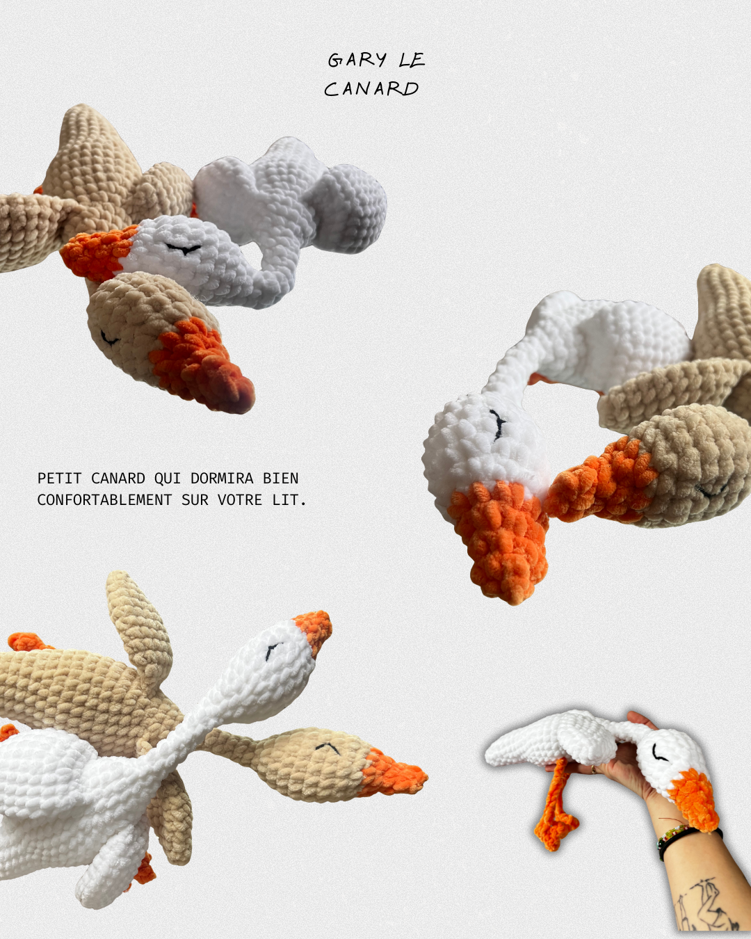 Gary le canard